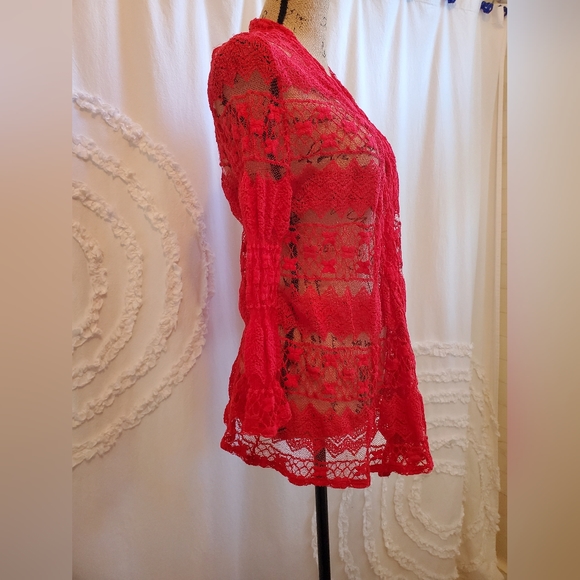 Sheer Red Lace - Picture 4 of 9